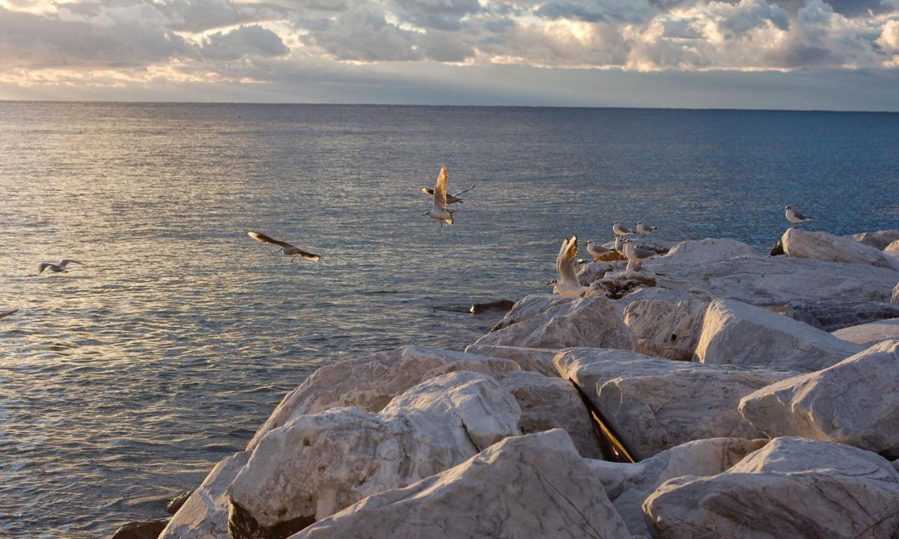 Fior Di Limone Lägenhet Sestri Levante Exteriör bild